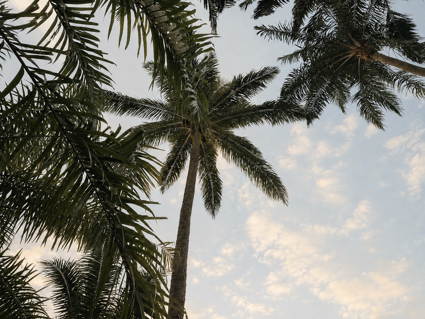 Verde e Mar, Boipeba